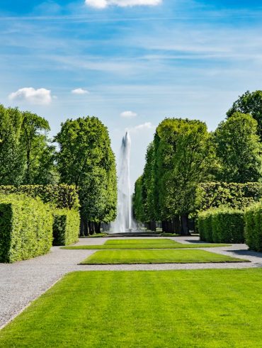 créer une haie naturelle pour un jardin esthétique et écologique